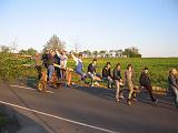 Maibaum 72